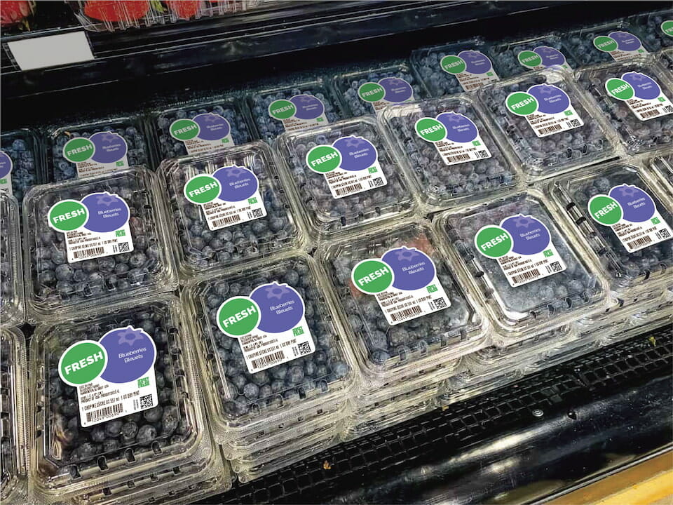 plastic packages of labeled blueberries on display in a grocery store
