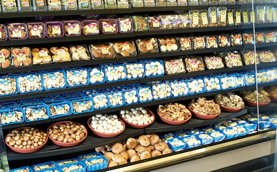 A display case full of different kinds of mushrooms
